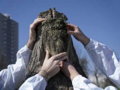 Al via “Identitas. La cultura rivela”