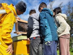 Una mattinata da apicoltori per gli studenti di Scandiano grazie al progetto Lavander Bees della Cooperativa Lo Stradello