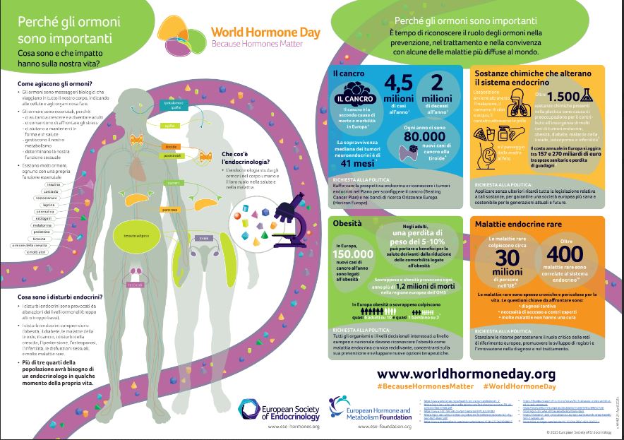 World Hormone Day, AME accende i riflettori sugli interferenti endocrini