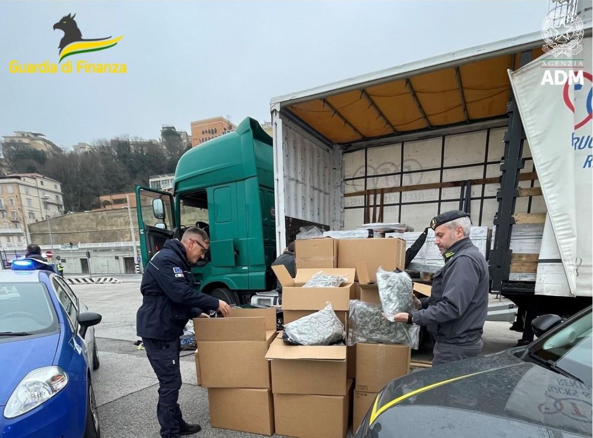 Sequestrati al porto di Ancona 163 kg di droga, un arresto