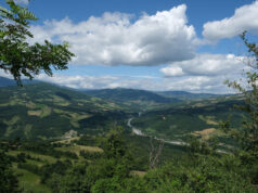 Nuovi bandi GAL per le imprese, l’iniziativa promossa da Lapam Confartigianato e GAL in programma martedì 29 aprile