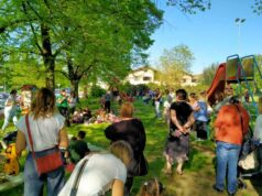 “Festa della Fioritura”: a San Bartolomeo un pomeriggio di natura, creatività e comunità
