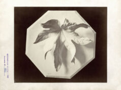 Dal 24 aprile a Palazzo dei Musei di Reggio Emilia la mostra “Luigi Ghirri. Lezioni di fotografia”