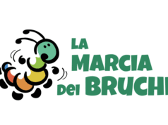 Arriva a Bologna la Marcia dei Bruchi: quattro giorni di eventi per i diritti umani, la giustizia e la pace