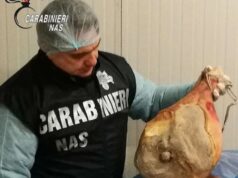Maxi sequestro di prosciutti presso un salumificio in provincia di Bologna