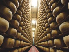 Il consorzio del Parmigiano Reggiano pubblica il suo primo bilancio di sostenibilità