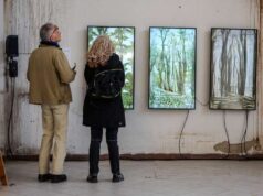 Tra metamorfosi e urbanistica: due giornate ad Alberi Festival