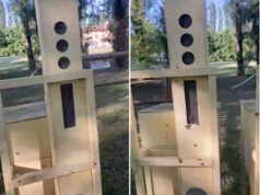 Al Parco della Memoria di Correggio tornano le api