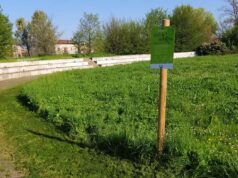 Reggio Emilia, ambiente: ecco le aree a sfalcio ridotto