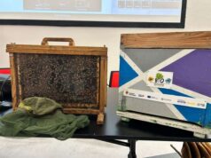 Biodiversità per la salute: una rete cittadina di arnie sociali, presentato il progetto ieri a Palazzo d’Accursio