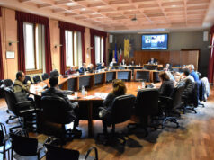Consiglio provinciale modenese, linee strategiche per il TPL