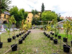 Ex Caserma Masini: aperta la call per proporre iniziative e attività per animare l’area verde del cortile