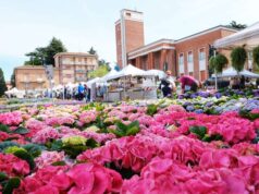 Fiori, mercato, animazioni: la Festa di Primavera
