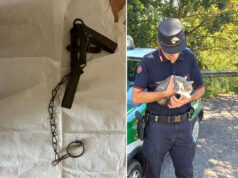 Convalidato il sequestro della tagliola di ferro rinvenuta nei pressi del Parco di via Nosari a Guastalla