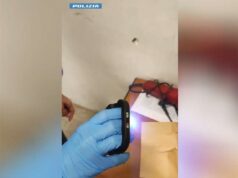 Tirapugni, taser e torcia integrata, inedita arma trovata in possesso di un cittadino che, a Bologna, tentava di rubare un furgone