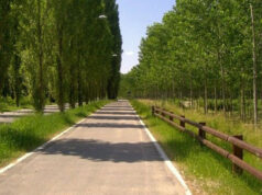 Finita l’allerta, riapre a pedoni e biciclette viale Po a Guastalla