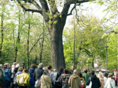 Gran finale a Modena per Alberi Festival, domenica arriva Paolo Giordano