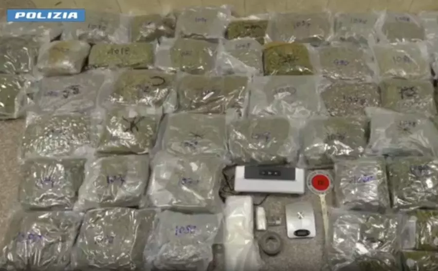 Traffico di droga e riciclaggio, 24 arresti tra Italia e Spagna