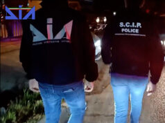 Traffico internazionale di stupefacenti, riciclaggio e abuso d’ufficio. 52 arresti in Albania e in Italia