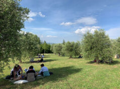 Passeggiate e degustazioni nelle tre Città dell’Olio: Castel San Pietro Terme, Imola e San Lazzaro di Savena