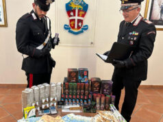 24enne arrestato a Bologna dai carabinieri che scoprono una “bottega” delle droghe