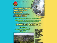 Camminata alla scoperta dei Gessi Messiniani di Vezzano sul Crostolo