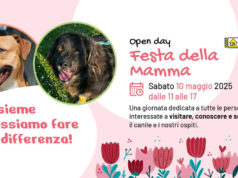 Open day sabato al canile intercomunale di Modena