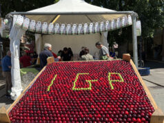 Torna “Vignola, è tempo di ciliegie”, due week end all’insegna della ciliegia
