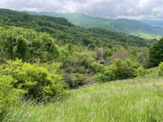 Frana di Boccassuolo, dalla Regione altri 200mila euro al Comune di Palagano per interventi sulla viabilità