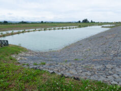Un invaso da 143mila metri cubi su una superficie di 6,5 ettari: inaugurata la cassa di espansione del Canale dei Mulini a Castel Bolognese