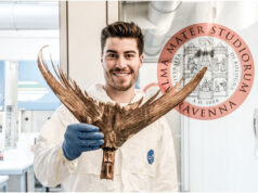 Zooarcheologia e genomica rivelano che anche l’uomo ha sfruttato troppo e per troppo tempo il tonno rosso