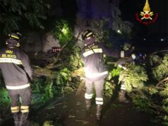 Vento e pioggia: una trentina gli interventi dei Vigili del fuoco a Modena e provincia