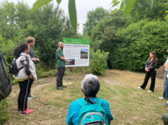 A Correggio nei prossimi giorni