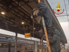 I Vigili del fuoco recuperano uno sciame d’api sui binari della stazione ferroviaria di Reggio Emilia