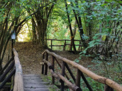 A Castel d’Aiano torna il Festival dei Sentieri