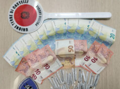 Il cane Fait blocca uno spacciatore sul percorso Sole in zona piscine a Vignola