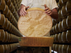Domani l’assessore all’agricoltura Alessio Mammi alla Fiera del Parmigiano di Casina, nel reggiano
