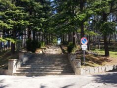 Partono nei prossimi giorni i lavori sulla pineta di Monte Bagnolo
