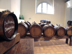 Alcuni appuntamenti del weekend ad Albinea