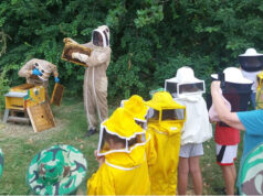 A Castelnovo Sotto bimbi e adulti costruiscono nidi, bombe di semi e piccoli alveari