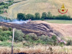 Fiamme in un campo a Casalfiumanese