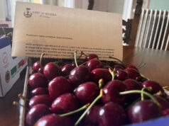 Vignola, il presidente Mattarella scrive di suo pugno il ringraziamento alla sindaca Muratori