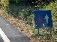 Lavori di potatura sulla sp486 “via Giardini” tra Modena e Casinalbo