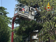 Vigili del fuoco ancora al lavoro nel reggiano per il maltempo di ieri sera