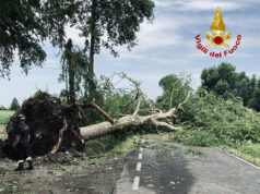 Prosciugamenti e rimozione piante: proseguono gli interventi dei Vigili del fuoco nel modenese