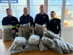 14 kg di marijuana in auto: 30enne arrestata