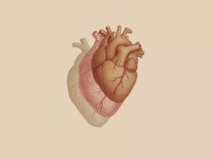 Scompenso cardiaco, nasce il gruppo di lavoro per la diagnosi precoce