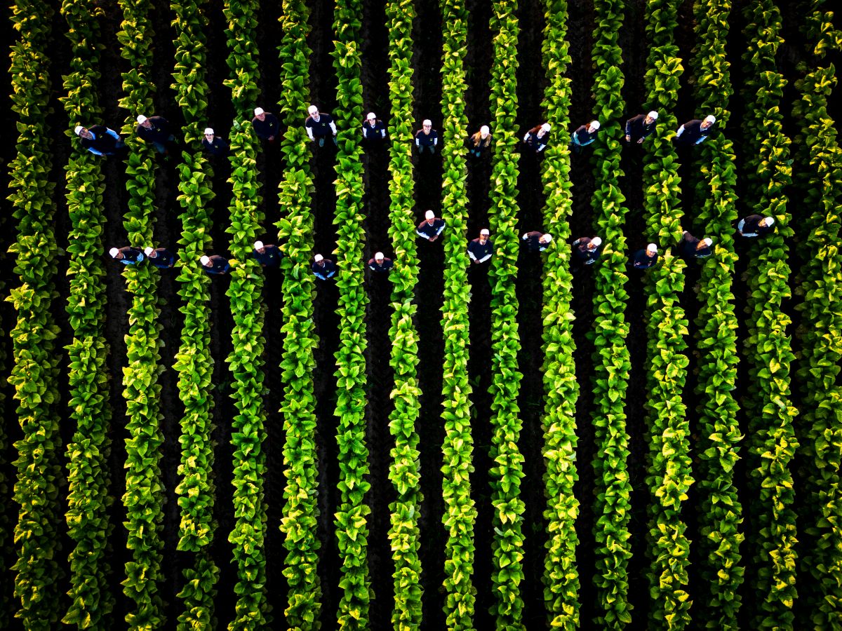 A Perugia la seconda tappa del roadshow di Coldiretti e Philip Morris