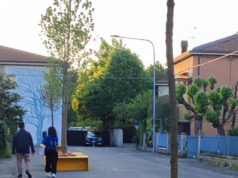 Alberi Festival, nuove tappe a Pavullo e Carrara, dopo Parigi e Karlsruhe