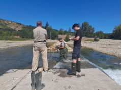 Fiume Secchia, portate sotto osservazione: il monitoraggio della Bonifica Emilia Centrale per una migliore gestione dell’acqua